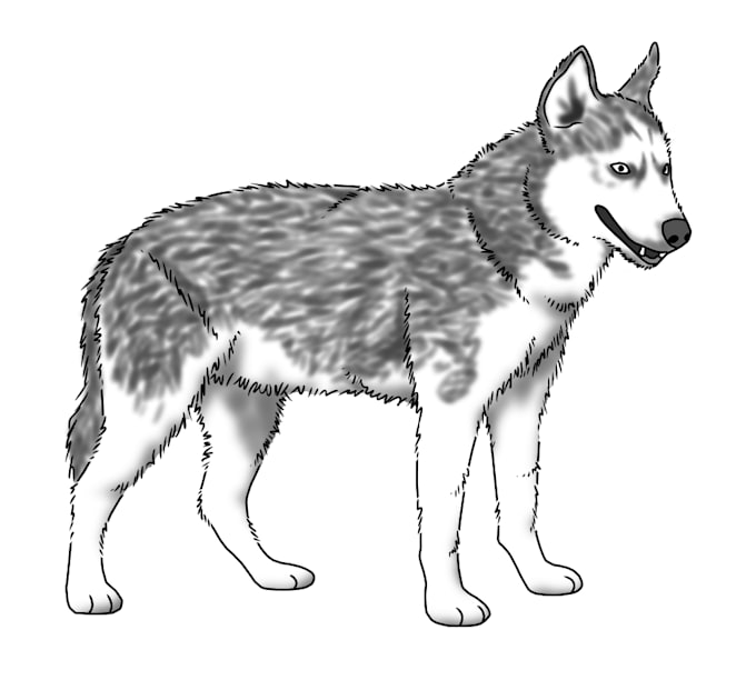 draw any object, image into simple digital line drawing