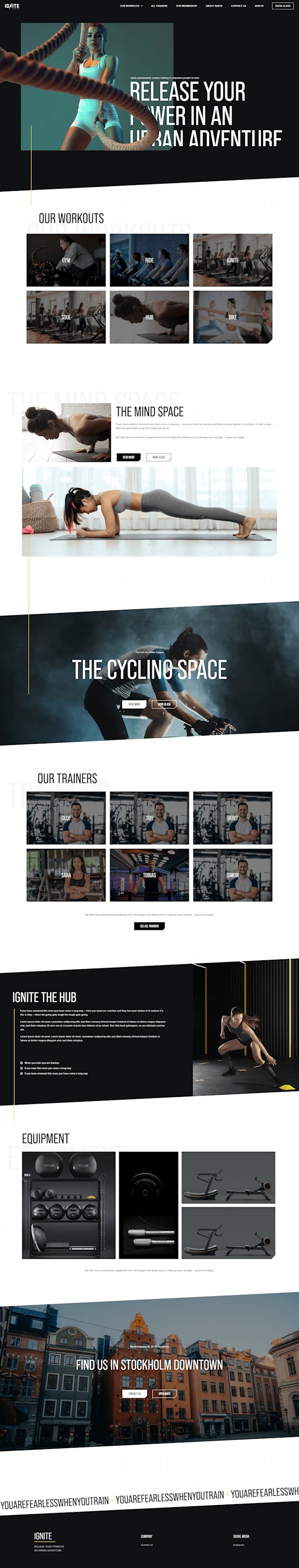 create wordpress website design or develop wordpress elementor pro website