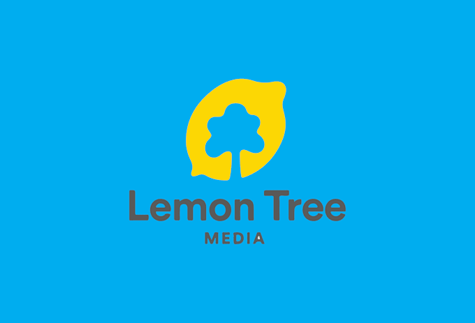 professionally create a minimalist logo design