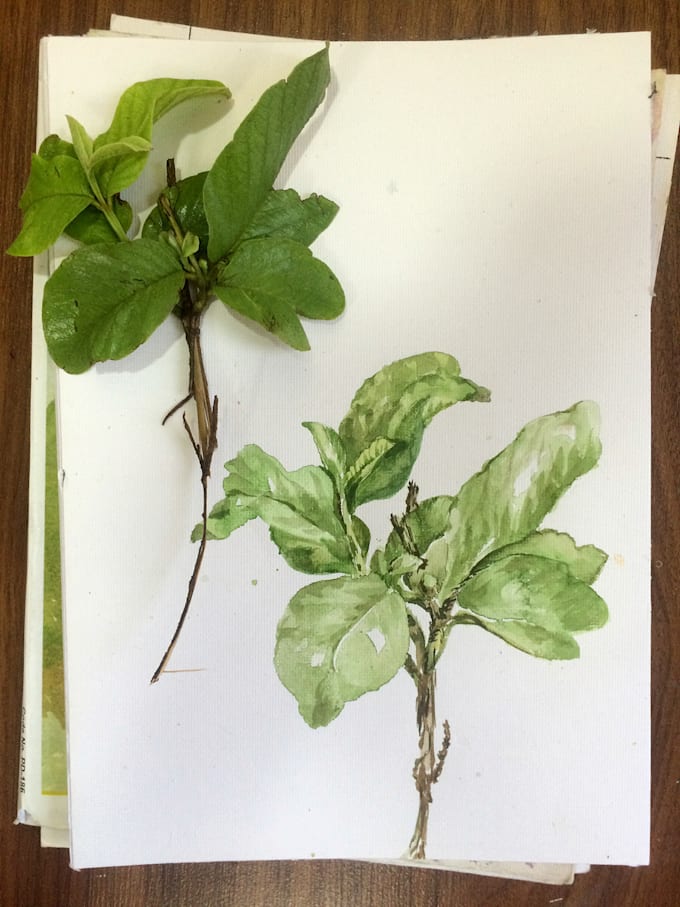 create a beautiful hand drawn print