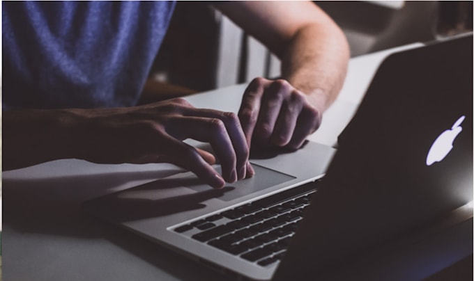 write profesional website, blog content
