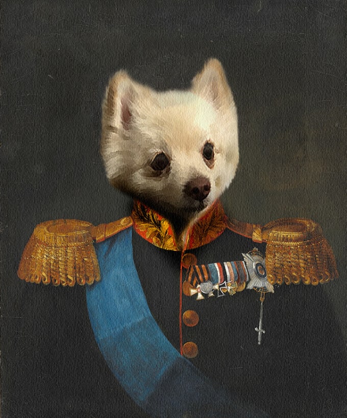 Turn A Picture Of Your Pet Into An Old Military Painting By