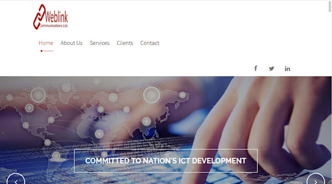 professional wordpress blog website design
