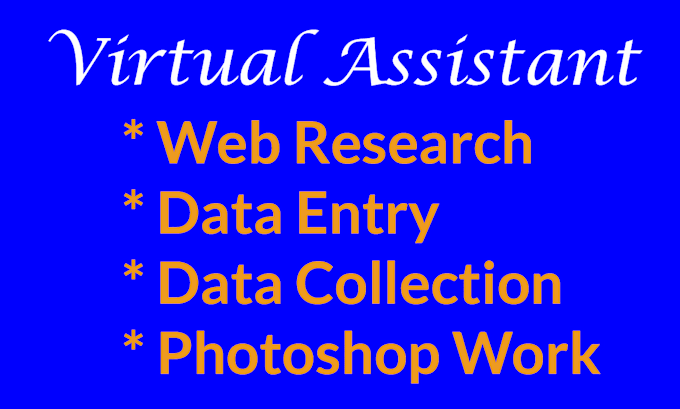 be your expert virtual assistant
