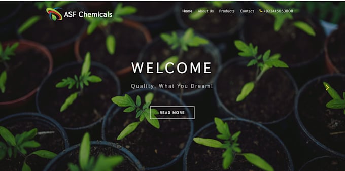 design develop and fix websites