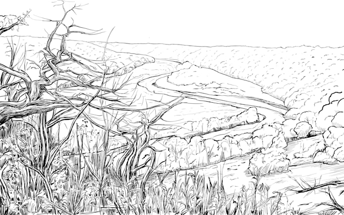 create landscape art, nature illustration ,ink drawing
