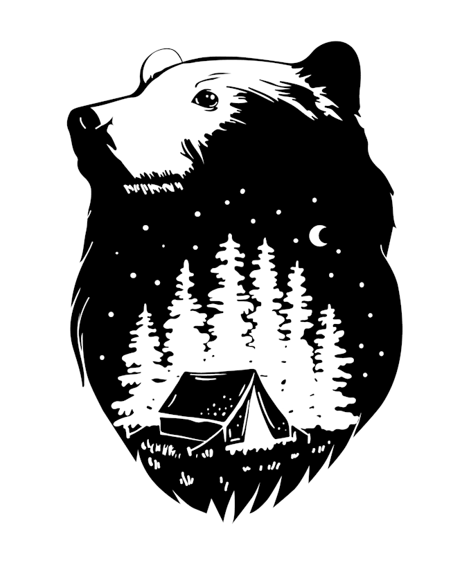 draw custom hand drawn illustration for your project