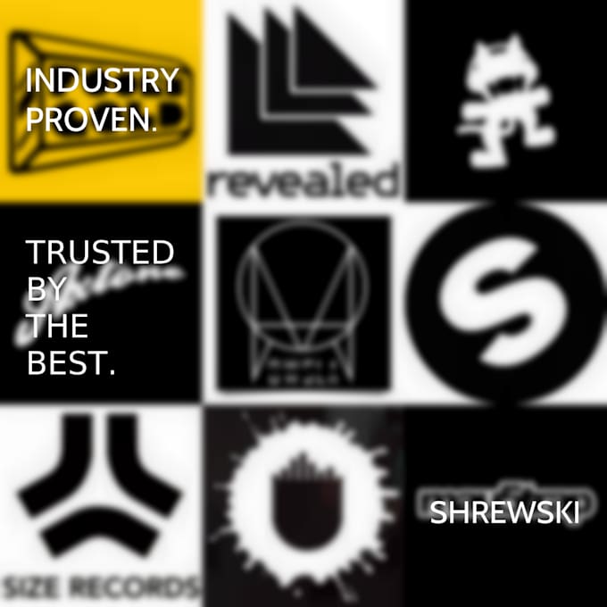 professionally mix and master your song