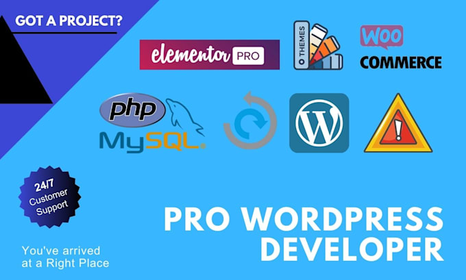 create ecommerce website and woocommerce  wordpress website