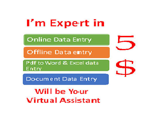 do data entry and virtual assistant for you