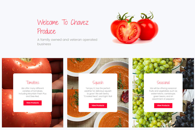 create any kind of clean, responsive, professional website