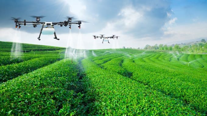 assist you in doing agriculture related tasks and projects