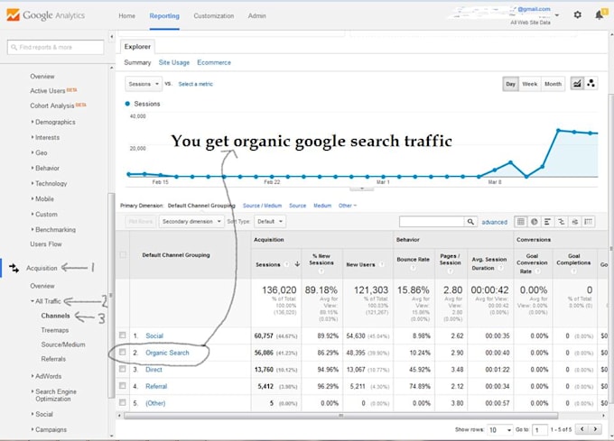 send german niche targeted organic traffic from google