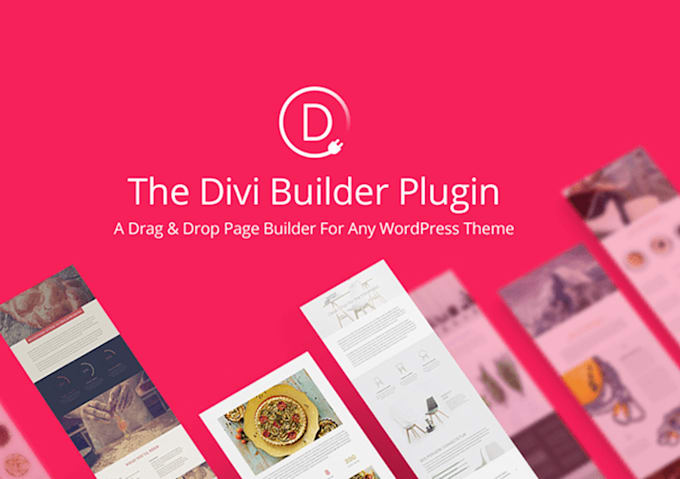 help fix divi builder issues and customize the divi theme