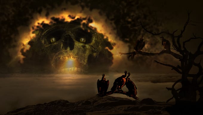do professional photo manipulation