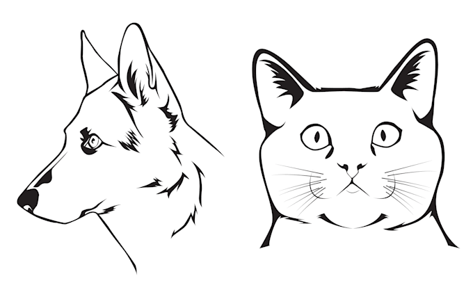 draw vector, line art illustrations