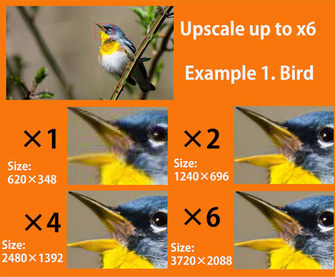 increase quality and resolution of your photos