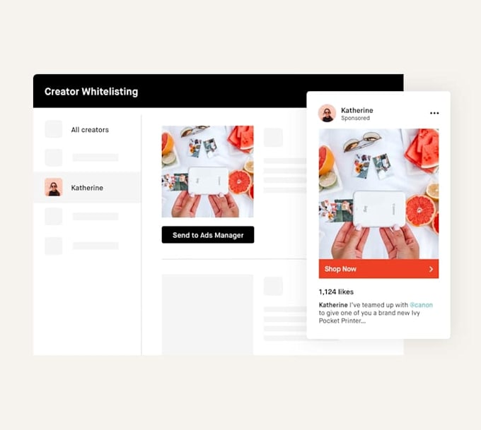 influencer marketing programs