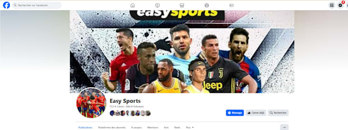 professionally manage your facebook page in french and english