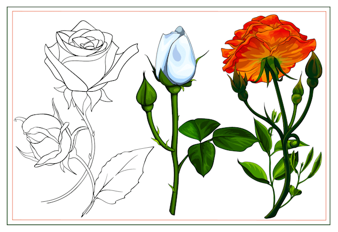 create hand drawn clean vector flowers