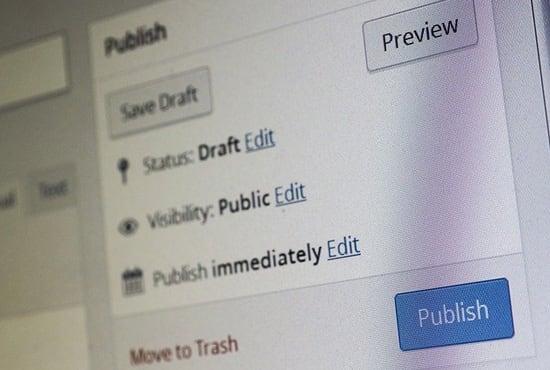 virtual assistant to edit wordpress blog articles, posts, pages with elementor