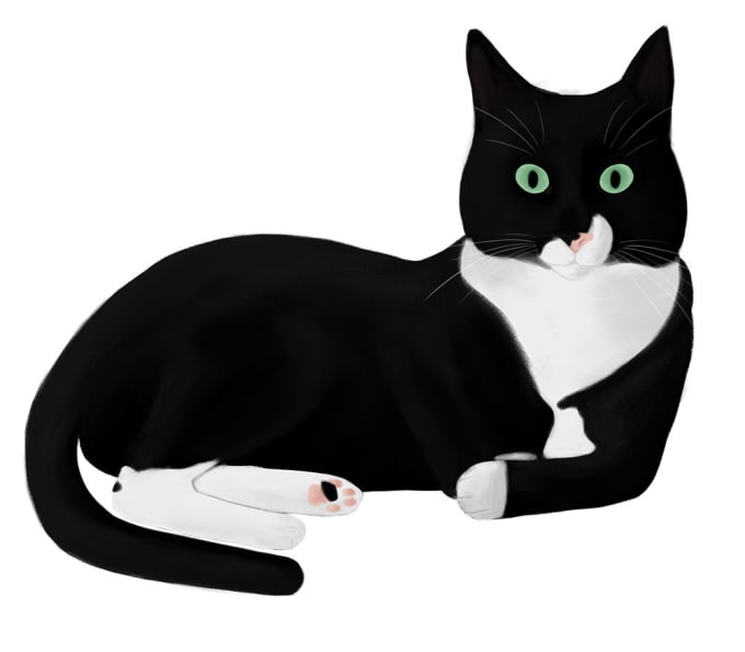 Draw Dogs Cats Pets And Animals By Remkom