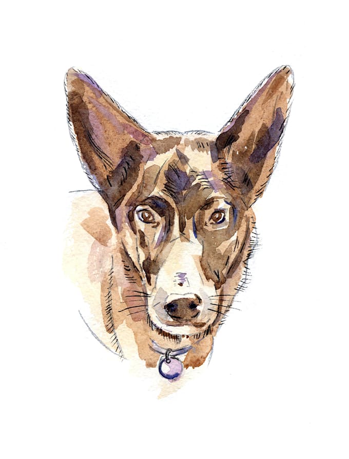 paint a cute pet portrait