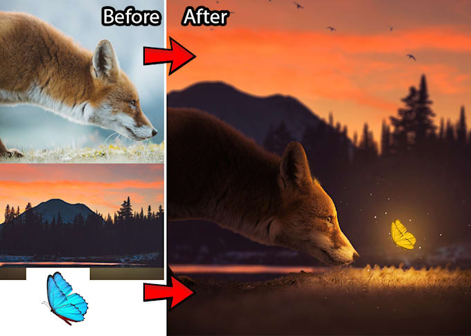 do photoshop editing, photo manipulation