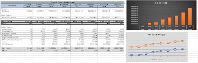 create financial budget and forecast with analytical reports