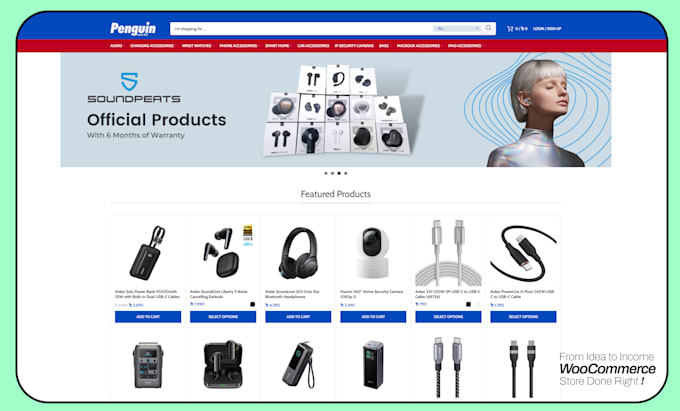 design ecommerce store by woocommerce