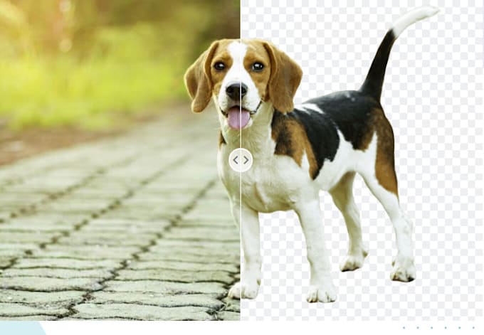 remove 20 bg images in 2hrs, any format , fast support
