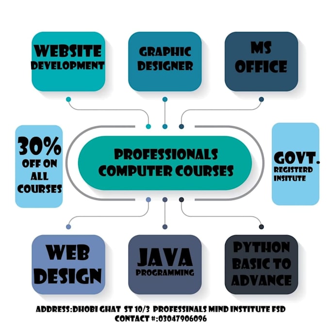 create a top quality professional infographic design