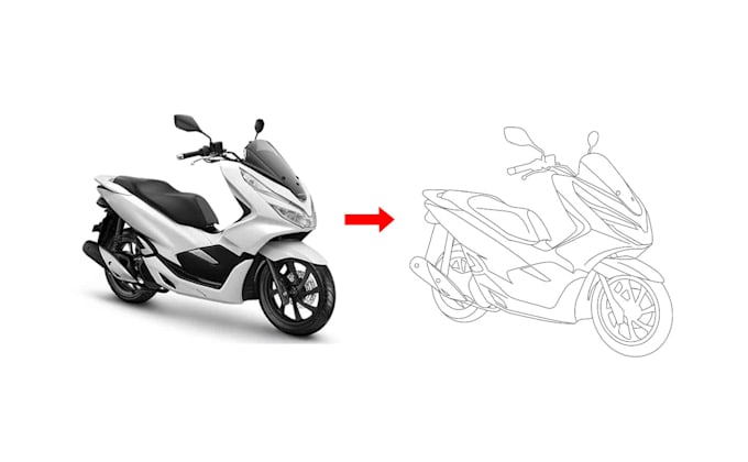draw a sketch or logo to vector format with a detailed