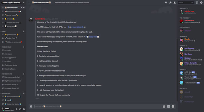develop you a professional discord server