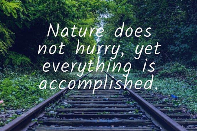 make appealing quotes designs