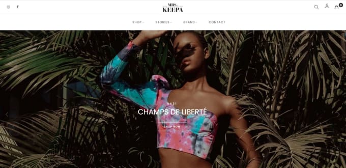 develop best shopify store and cheap dropshipping website