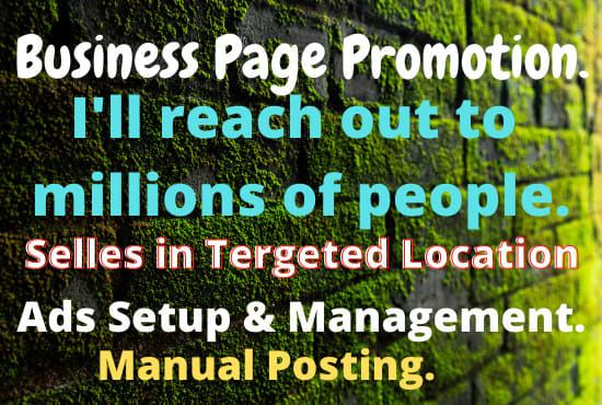 promote business pages organically in the USA, target areas