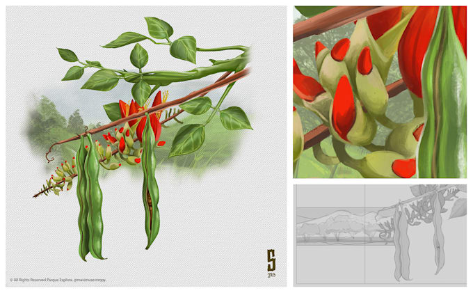create realistic scientific and wildlife illustrations