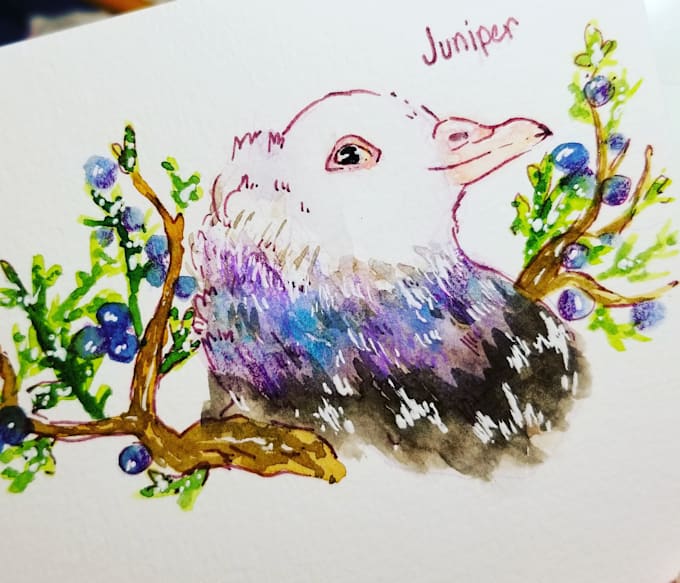 draw a pet or any animal