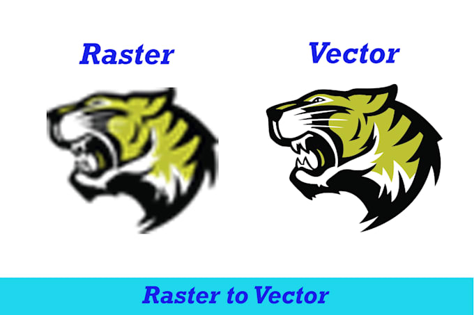 do vector tracing convert to vector redraw logo in 24 hour