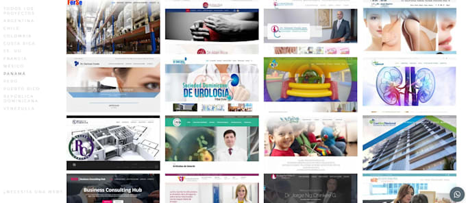create, redesign or fix your wordpress site, business site, store  or customs