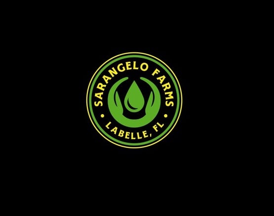 make a clean outstanding hemp farm logo design