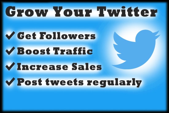 grow twitter account and build audience for your business