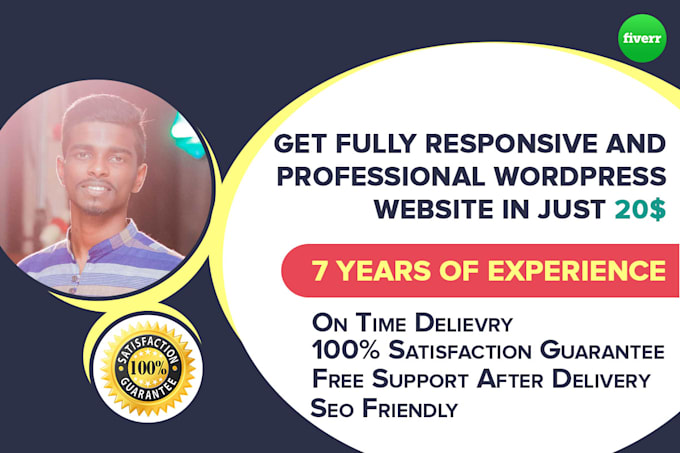 build professional and responsive wordpress website
