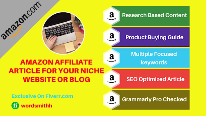 write amazon affiliate article for niche website or blog