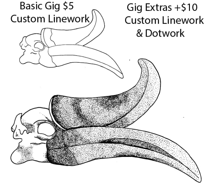Sketch Any Simple Skull By Msilvesterart,Fox Girl Drawings