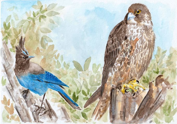 draw cute birds in watercolors