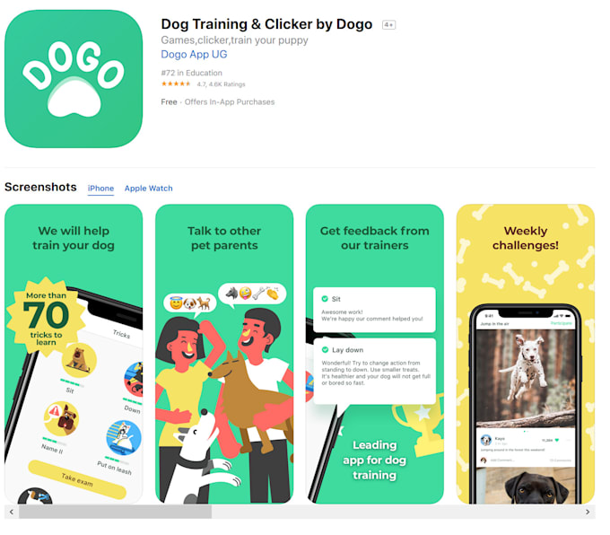 localize your content to brazilian portuguese