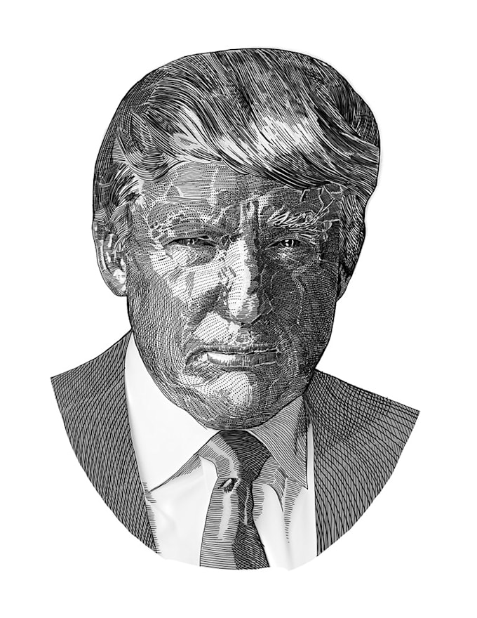Draw A Pen And Ink Illustration By Fivrous Fiverr