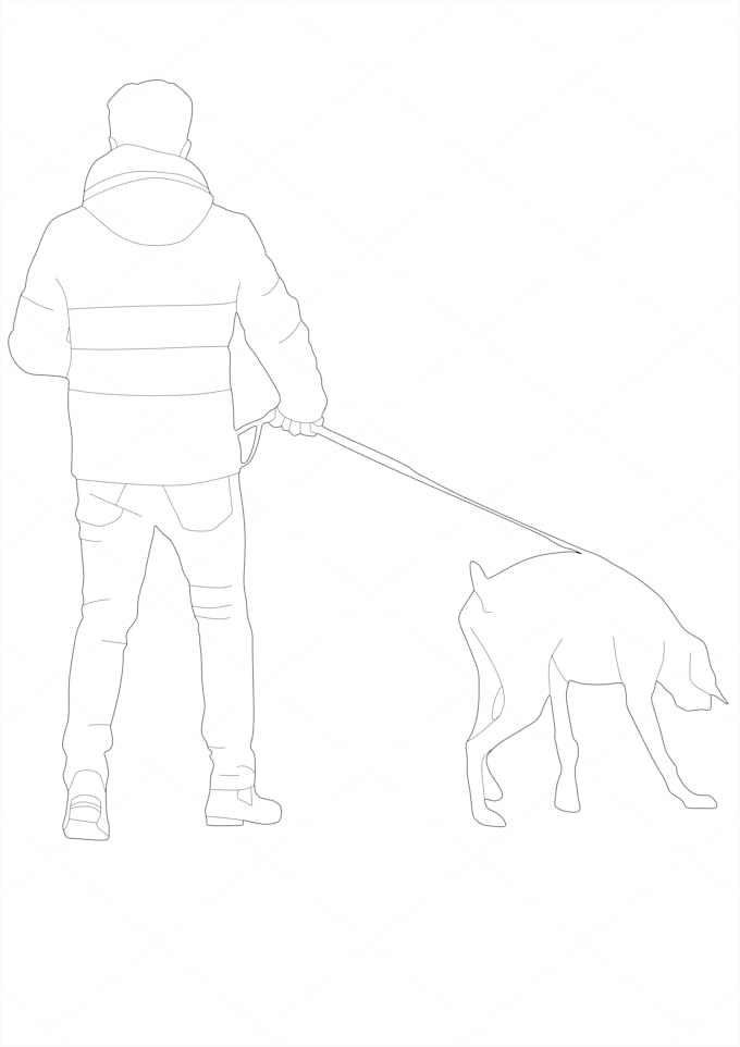 do a line drawing from a picture